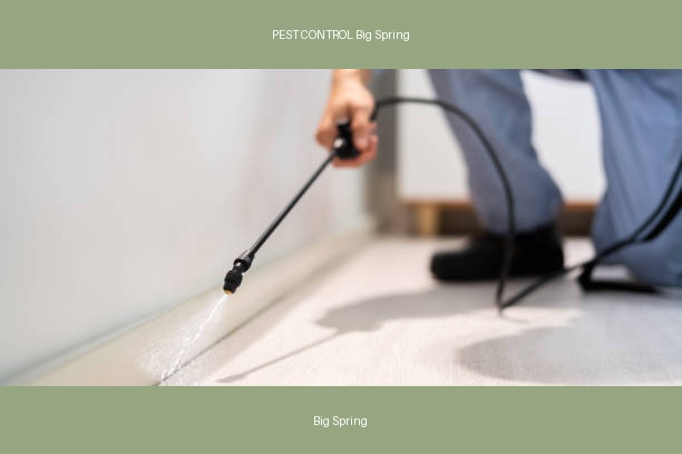 PEST CONTROL Big Spring